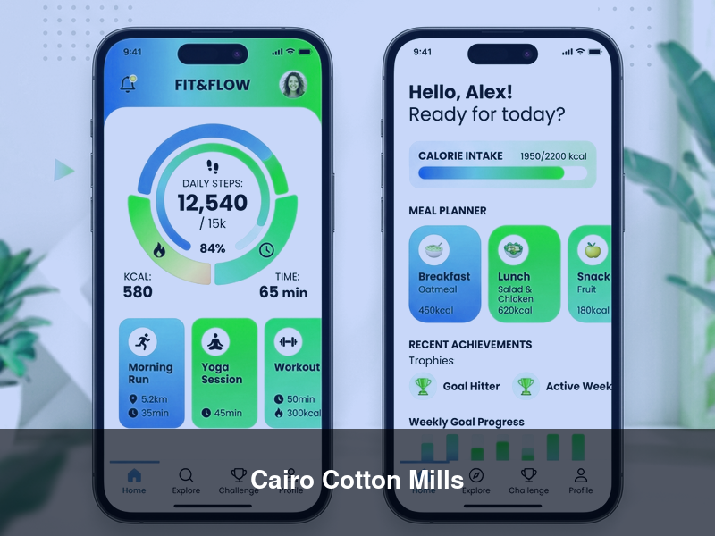 Cairo Cotton Mills – ERPs