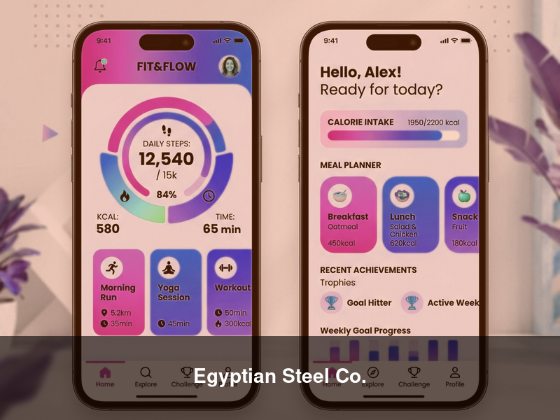 Egyptian Steel Co. – ERPs