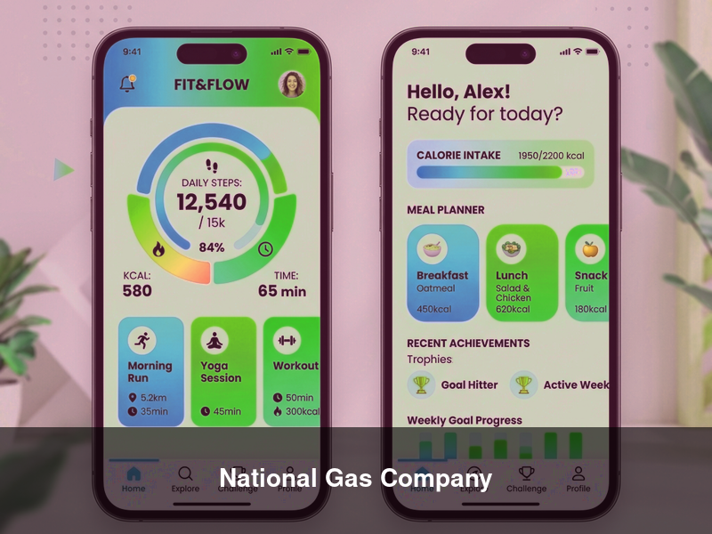 National Gas Company – ERPs