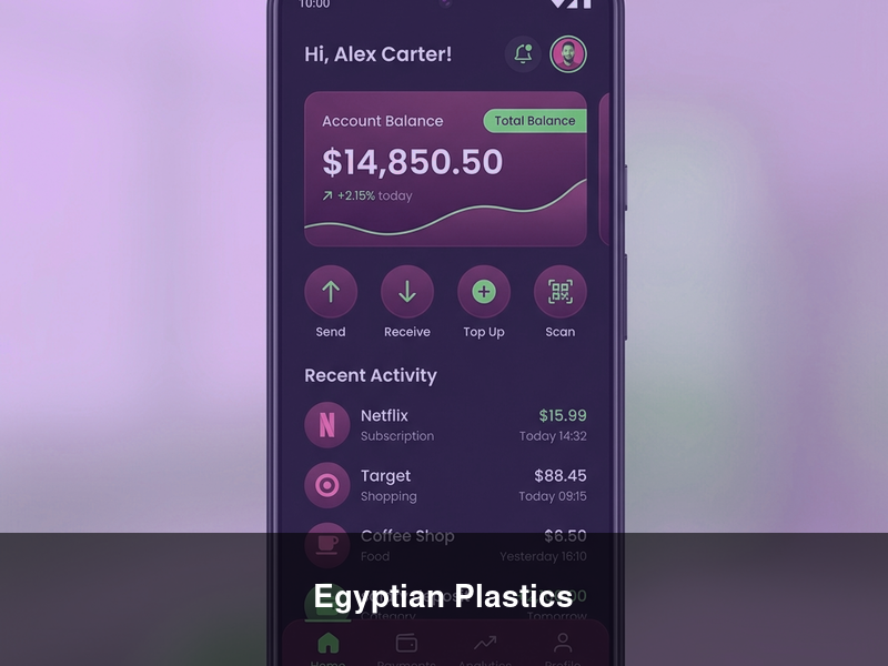 Egyptian Plastics – ERPs