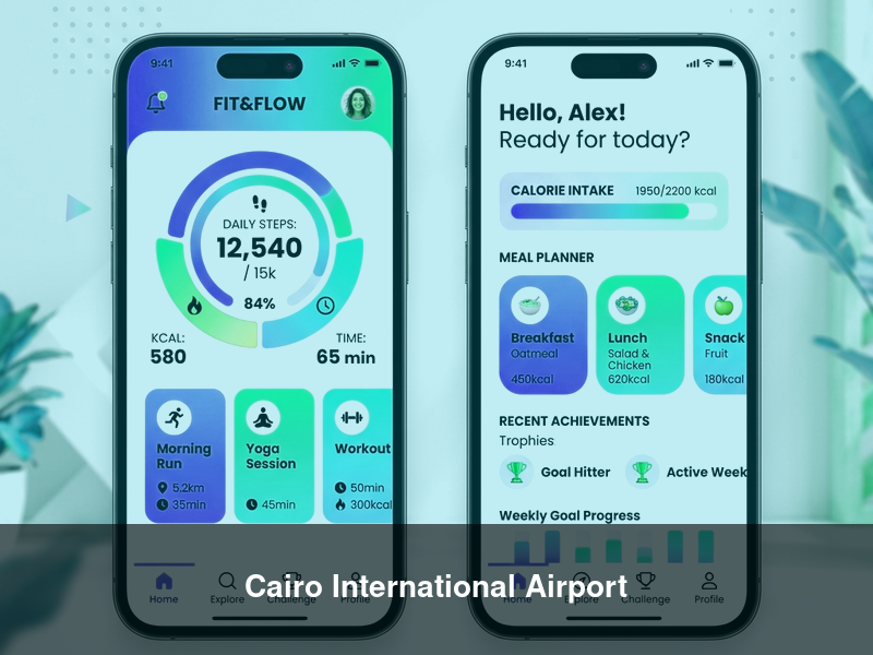 Cairo International Airport – ERPs