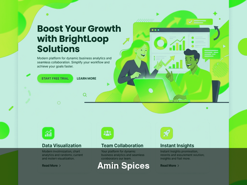 Amin Spices – Websites