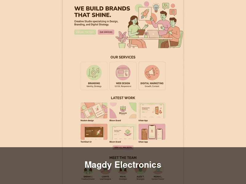 Magdy Electronics – Websites