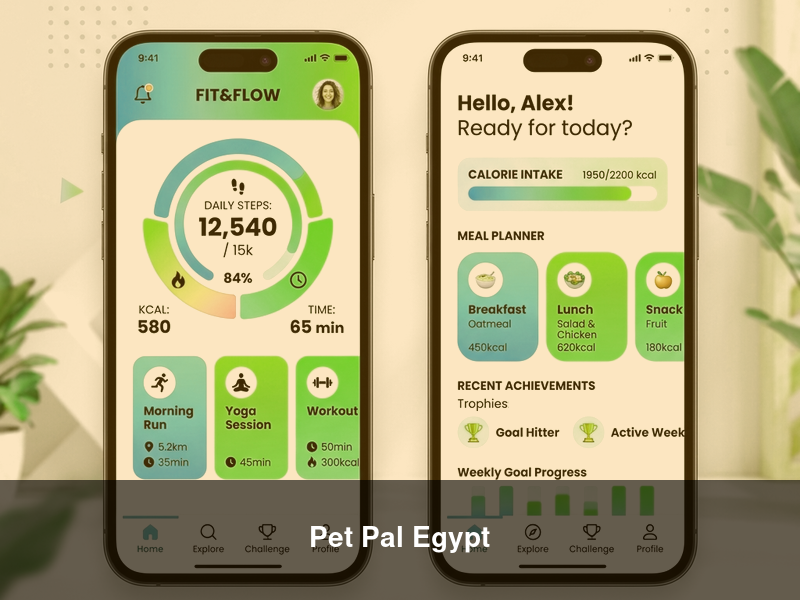 Pet Pal Egypt – Mobile Apps